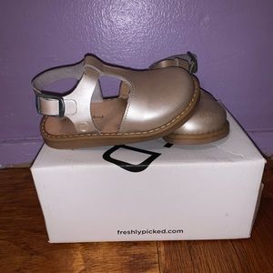 Freshly Picked Newport Sandal in Platinum. Perfect for fall.